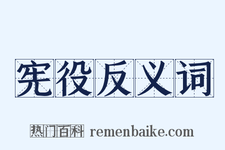 宪役反义词是什么意思的图片